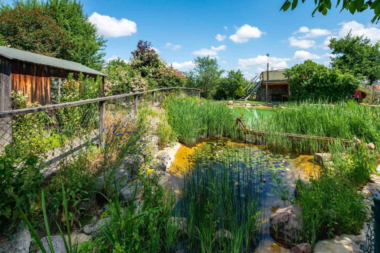 Landhotel Gut Wildberg Meissen Luaran gambar
