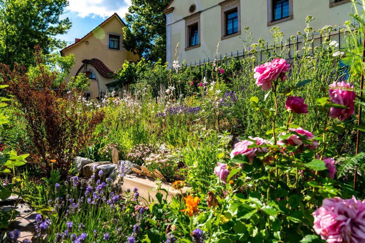 Landhotel Gut Wildberg Meissen Luaran gambar
